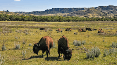 North Dakota National Park Ap