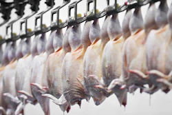 Poultry Meat Processing