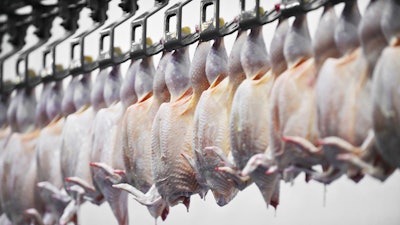 Poultry Meat Processing