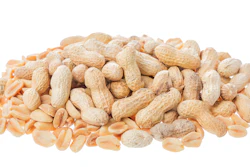Roasted Peanuts