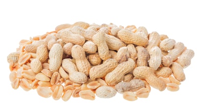 Roasted Peanuts