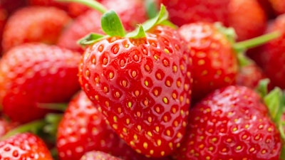 Strawberries Organic