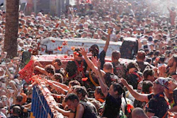 Revellers throw tomatoes at each other during the annual 'Tomatina', tomato fight fiesta in the village of Bunol near Valencia, Spain.