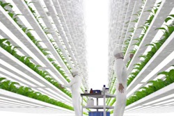 Vertical Farming