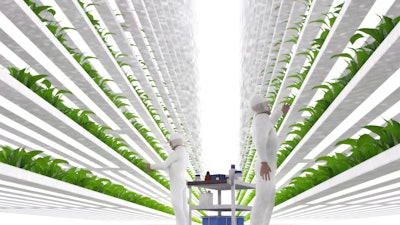 Vertical Farming