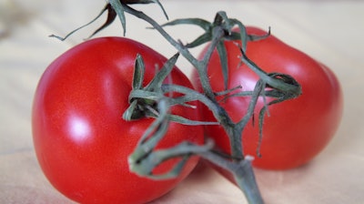 Tomato