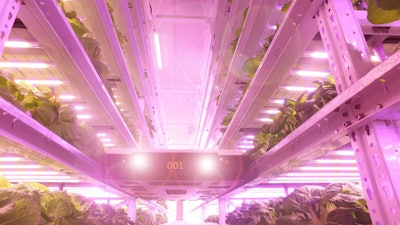 SANANBIO's vertical farming system.