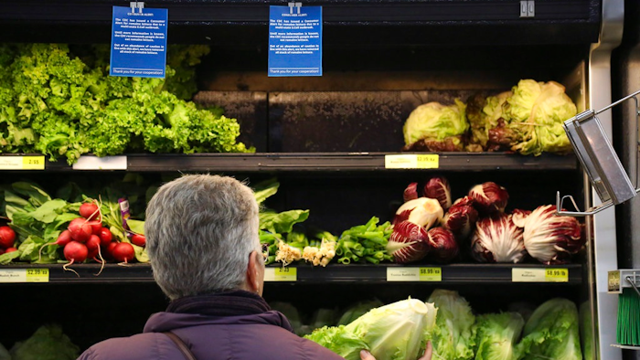 Romaine Recall Ap
