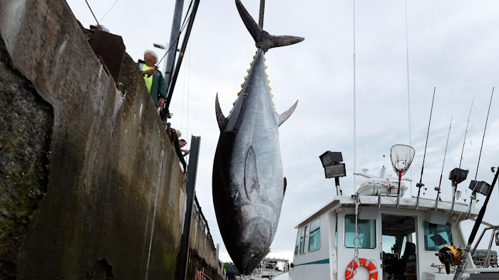 Tuna