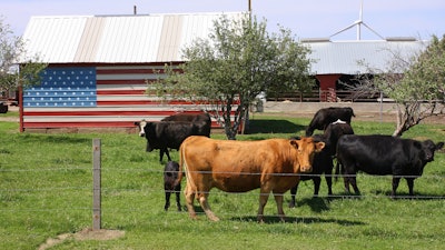 U s Cattle