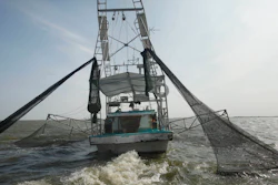 In an Aug. 16, 2010 file photo, shrimpers haul in their catch in Bastian Bay, near Empire, La., on the first day of shrimping season.It will be months before state officials know whether losses from floods and spillway openings qualify Louisiana as a fisheries disaster. Department of Wildlife and Fisheries officials say floods began around November 2018 and a full 12 months' data is needed to compare to averages for the previous 5 years. The governors of Louisiana, Mississippi and Alabama asked months ago for US Commerce Secretary Wilbur Ross to declare a fisheries disaster, making federal grants available to affected people.