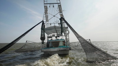 In an Aug. 16, 2010 file photo, shrimpers haul in their catch in Bastian Bay, near Empire, La., on the first day of shrimping season.It will be months before state officials know whether losses from floods and spillway openings qualify Louisiana as a fisheries disaster. Department of Wildlife and Fisheries officials say floods began around November 2018 and a full 12 months' data is needed to compare to averages for the previous 5 years. The governors of Louisiana, Mississippi and Alabama asked months ago for US Commerce Secretary Wilbur Ross to declare a fisheries disaster, making federal grants available to affected people.