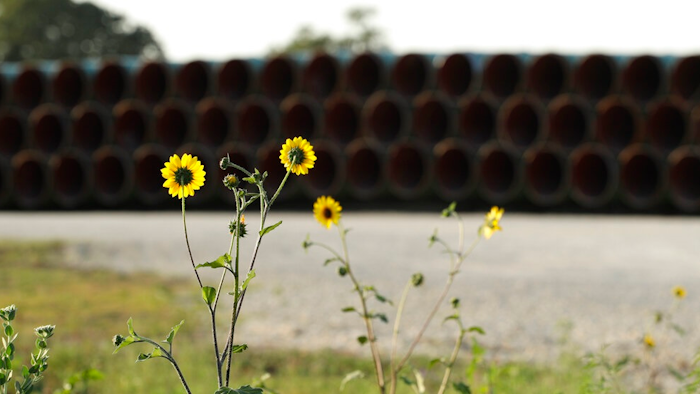Pipes for a proposed new natural gas pipeline that would pass through the Texas Hill Country are staged near Blanco, Texas Friday, Aug. 2, 2019. A proposed pipeline is a 430-mile, $2 billion natural gas expressway that pipeline giant Kinder Morgan has mapped from the booming West Texas oil patch to Houston.