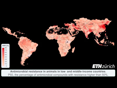 Researchers from ETH Zurich, Princeton University and the Free University of Brussels gathered nearly 1,000 publications and unpublished veterinary reports from around the world to create a map of antimicrobial resistance in low- to middle-income countries since 2000. The proportion of antibiotics showing rates of resistance above 50% increased in developing countries where meat consumption has sharply increased, meaning that antibiotics that could be used for treatment failed more than half the time. The researchers found that antibiotic resistance in livestock was most widespread in China and India, with Brazil and Kenya emerging as new hotspots. Black areas had insufficient data.