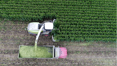 In this Oct. 3, 2019 file photo corn is harvested and chopped for silage at High Lawn Farm in Lee, MA.