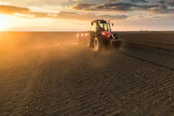 Farmer Planting Crops In Spring