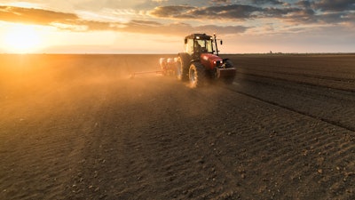 Farmer Planting Crops In Spring