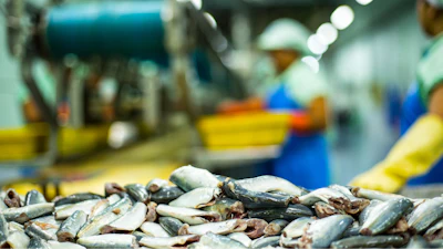 Fish Processing