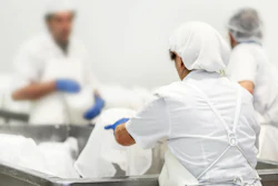 Food Plant Worker