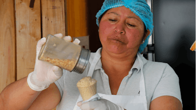 In this Sept. 28, 2019 photo, Maria del Carmen Pilapana tops a scoop of a guinea pig flavored ice cream with peanuts, at her stall on the outskirts of Quito, Ecuador.