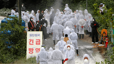 Quarantine officials arrive to slaughter pigs at a farm with a confirmed African swine fever in Paju, South Korea.