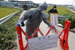 Quarantine officials wearing protective gears place barricades as a precaution against African swine fever at a pig farm in Paju, South Korea.