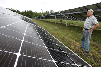 In this Oct. 2 photo, cranberry grower Dick Ward stands near a solar array in a cranberry bog on his farm, in Carver, MA.