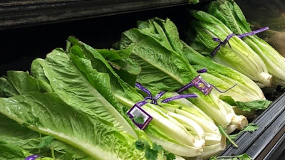 This Nov. 20, 2018 file photo shows Romaine Lettuce in Simi Valley, CA. Health officials are disclosing another E. coli outbreak linked to romaine lettuce from the summer 2019, but say it appears to be over.