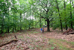 Ap19312856314467