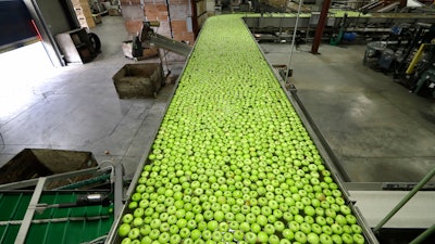In this Oct. 15, 2019 photo, Granny Smith apples are floated toward sorters to ready them for shipping in a packing plant in Yakima, WA.