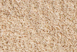 I Stock 1096545682