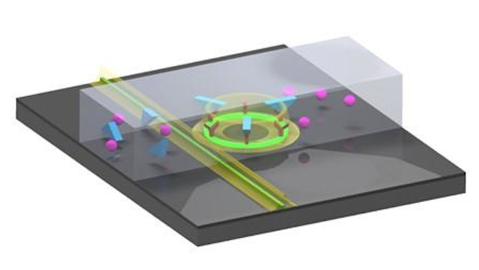 Pump light coupled to the device produced lasing in a microring resonator. The surface of the resonator holds probes (red anchor molecules on the ring) that capture the analytes of interest. The laser light in the ring extends into the fluid. When analytes of interest (blue triangles) attach to the capture probes, this is sensed by the field outside the microring laser, shifting the frequency of the laser emission. This shift can be very precisely measured permitting the detection of minute amounts of analytes flowing over the sensor in a 'specific' manner (i.e., the pink particles do not bind to the capture layer and are therefore not detected). In the figure, the waveguide are green (real color produced by upconversion of the dopants that induce the laser emission) and a microfluidic channel can be seen in which different particles flow from left to right.