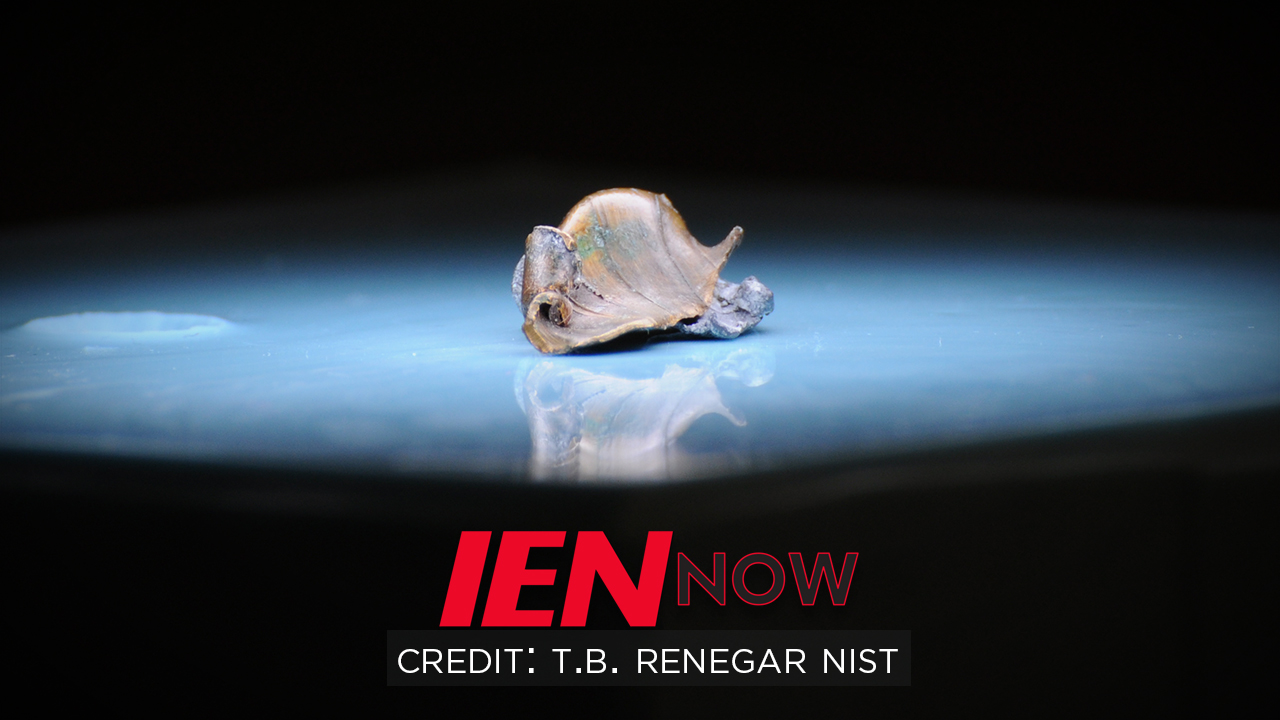 Ep840nowlogofbthumbnail