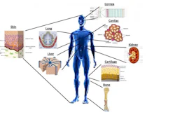 Bioprinting of potential tissue-engineered constructs.