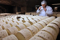 In this Jan. 21, 2009, file photo, Bernard Roques, a refiner of Societe company, smells a Roquefort cheese as they mature in a cellar in Roquefort, southwestern France. The Trump administration is proposing tariffs on up to $2.4 billion worth of French imports, from Roquefort cheese to handbags, retaliation for France’s tax on American tech giants like Google, Amazon and Facebook. The Office of the U.S. Trade Representative says France’s new digital services tax discriminates against U.S. companies and says that the tariffs could reach 100%.