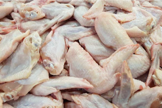 Chicken 5d8103b801267