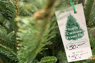 In this Monday, Dec. 9, 2019, photo, a North Carolina fraser fir Christmas tree is for sale in Lenoir, N.C. A Christmas tree shortage is being blamed on the Great Recession. Poor sales a decade ago, limited the number of trees planted, which are being harvested this year.
