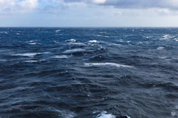 Waves
