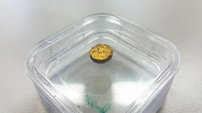 No ordinary nugget: 18-carat gold with latex as the base material.