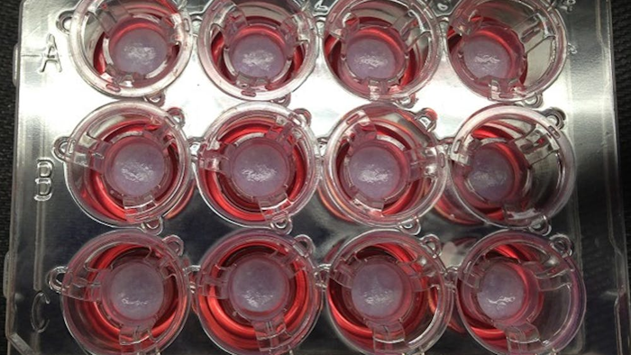 The NIH in the U.S. has a program to develop bioprinted tissue that’s similar to human tissue to speed up drug screening.