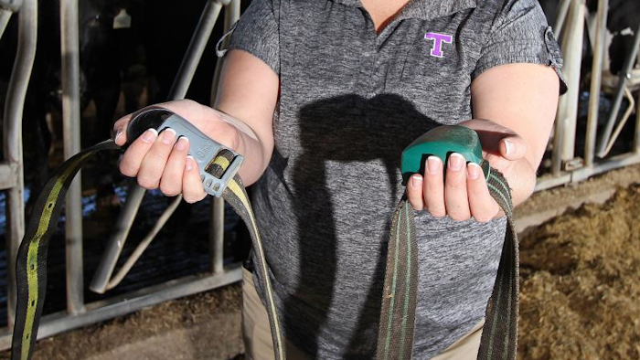 Barbara Jones holding up some of the new technology used to track dairy cows.