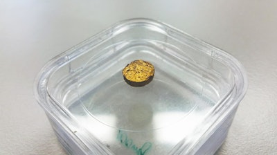 No ordinary nugget: 18-carat gold with latex as the base material.