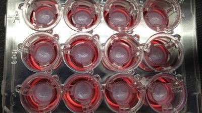 The NIH in the U.S. has a program to develop bioprinted tissue that’s similar to human tissue to speed up drug screening.