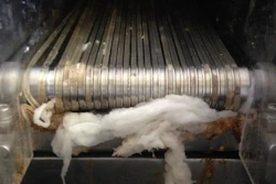 This conveyer of rubber bands separates solid and liquid waste effectively in an experimental sanitation system at a test site in India. But at a facility in South Africa, where the culture uses toilet paper, the results aren't as good. This was one of many lessons learned from two eight-month-long field trials for sanitation systems sponsored by the Bill and Melinda Gates Foundation.