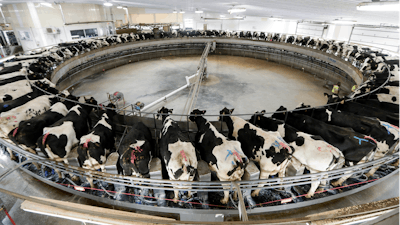 In this Dec. 4, 2019, photo cows are milked on a large carousel at the Rosendale Dairy in Pickett, Wis.