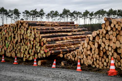 Cleared trees lie stacked on the entrance to the site for the planned Tesla factory near Gruenheide, Germany, Sunday, Feb. 16, 2020. The Higher Administrative Court for Berlin-Brandenburg ordered Tesla to stop clearing trees on the wooded site near Berlin until it considers an environmental group's appeal. In a statement Sunday, the court said it had to issue the injunction because otherwise Tesla might have completed the work over the next three days.