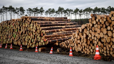 Cleared trees lie stacked on the entrance to the site for the planned Tesla factory near Gruenheide, Germany, Sunday, Feb. 16, 2020. The Higher Administrative Court for Berlin-Brandenburg ordered Tesla to stop clearing trees on the wooded site near Berlin until it considers an environmental group's appeal. In a statement Sunday, the court said it had to issue the injunction because otherwise Tesla might have completed the work over the next three days.