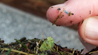 This May 19, 2010, file photo shows a blue rectangular piece of microplastic on the finger of a researcher with the University of Washington-Tacoma environmental science program, after it was found in debris collected from the Thea Foss Waterway, in Tacoma, Wash.