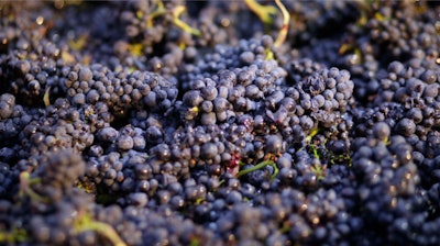Grapes 5d9f5e55ab99b