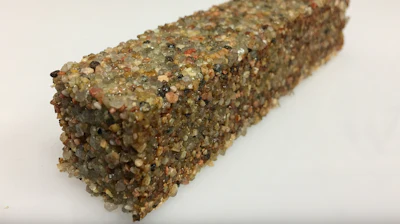 A block of sand particles held together by living cells.